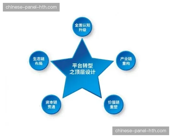 垂直化分发平台正逐步替代传统模式 形成了更为精细的传播生态